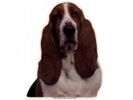 BassetHoundVlgklistermrkengleringbrocheslipsenlmm-20