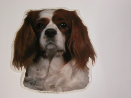 CavalierKingCharlesSpanielRdBrunhvVlgklistermrkengleringbrocheslipsenlmm-20