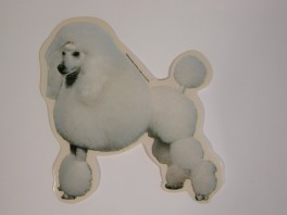 PudelhvidVlgklistermrkengleringbrocheslipsenlmm-20