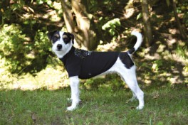 BunburryTshirtmedflotmnestjernelogopryggen-20