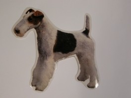 RuhretFoxTerrierstVlgklistermrkengleringbrocheslipsenlmm-20