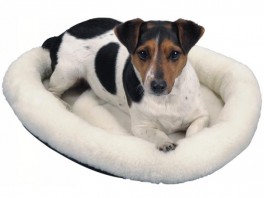 TeddyFladdonutilammeskindslook-20