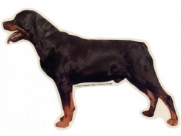 RottweilerstVlgklistermrkengleringbrocheslipsenlmm-20