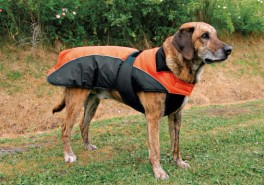 HundedkkenNizzaTcoat-20