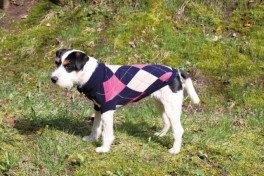 EdmontonPullovermedlillermevedforben-20