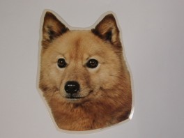 FinskspidshvVlgklistermrkengleringbrocheslipsenlmm-20