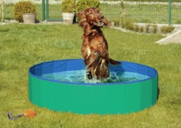 DoggyPoolHundepoolGrnBl-20