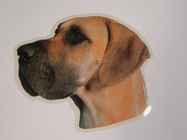 GrandDanoisgulrenedhvVlgklistermrkengleringbrocheslipsenlmm-20