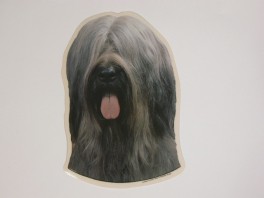 BriardhvlysrenedVlgklistermrkengleringbrocheslipsenlmm-20