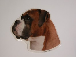 BoxerhvrenedGulVlgklistermrkengleringmm-20