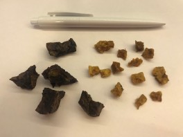 TreatTimeNaturligeGodbidder100g6varianter-20