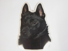 SchipperkeVlgklistermrkengleringbrocheslipsenlmm-20