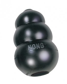 AktivitetslegetjKONGExtreme-20