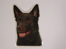 KelpiehvVlgklistermrkengleringbrocheslipsenlmm-20