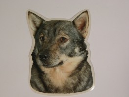 VstgtaspidshvVlgklistermrkengleringbrocheslipsenlmm-20