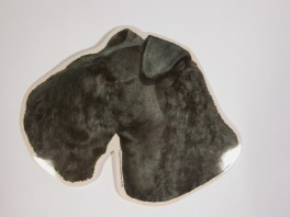 KerryBlueTerrierhvVlgklistermrkengleringbrocheslipsenlmm-20