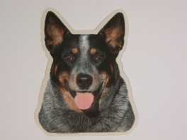 AustralskCattleDogVlgklistermrkengleringbrocheslipsenlmm-20