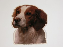 BretonhvVlgklistermrkengleringbrocheslipsenlmm-20