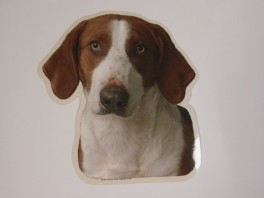 StrellufDreverStverhvVlgklistermrkengleringbrocheslipsenlmm-20