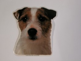 JackRussellTerrierruhrethvVlgklistermrkengleringbrocheslipsenlmm-20