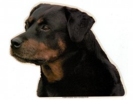 RottweilertveVlgklistermrkengleringbrocheslipsenlmm-20