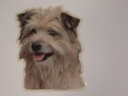 PyreniskhyrdehundVlgklistermrkengleringbrocheslipsenlmm-20