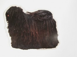 PulistVlgklistermrkengleringbrocheslipsenlmm-20