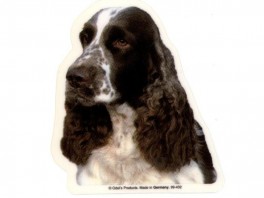 EngelskSpringerSpanielhvVlgklistermrkengleringbrocheslipsenlmm-20