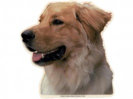 HovawartlyshvVlgklistermrkengleringbrocheslipsenlmm-20