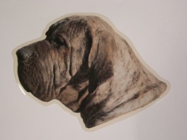 FilaBrasileirohvVlgklistermrkengleringmm-20