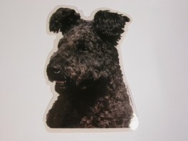 PumiVlgklistermrkengleringbrocheslipsenlmm-20