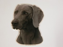 WeimaranerVlgklistermrkengleringbrocheslipsenlmm-20
