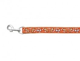 MojaveHundelinemedhndtag-20