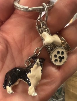 EksklusivngleringmedBordercollie-20