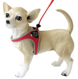 TrePontiminiselemedstrop-20