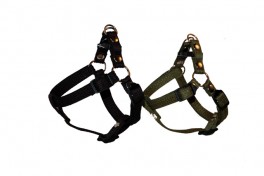 AlfaScandiaStepInhundeselejusterbarmedsnapls-20