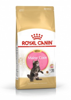 RoyalCaninMaineCoonKittenTilKillingeroptil15mneder-20