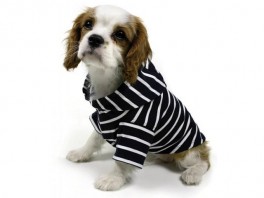 SmandsTshirtmhtte-20