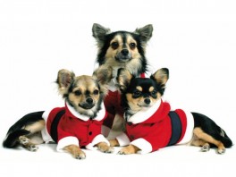 TheoJulenissedragt-20