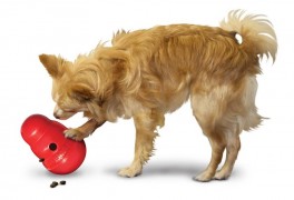 KONGWobbleraktivitetslegetjfoderdispenser-20