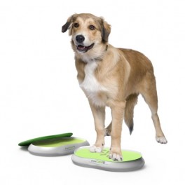 PawCareAssfarve-20
