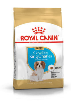 RoyalCaninCavalierKingCharlesPuppyoptil12mneder15kg-20