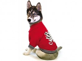 PoloSizedoesntmatter-20