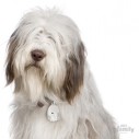 Hundetegn, Bearded Collie 