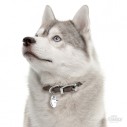 Hundetegn, Siberian Husky / Husky, Flere farver. 