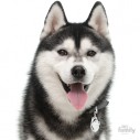 Hundetegn, Siberian Husky / Husky, Flere farver. 