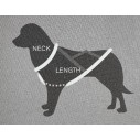 Dog Harness Nome Active.
