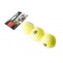 Active Canis Tennisbold 3stk.