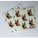 Appenzeller Sennenhund, hv. Vælg: klistermærke, nøglering, broche, slipsenål, mm
