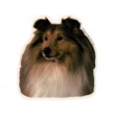 Shetland Sheepdog, hv. Vælg: klistermærke, nøglering, broche, slipsenål, mm